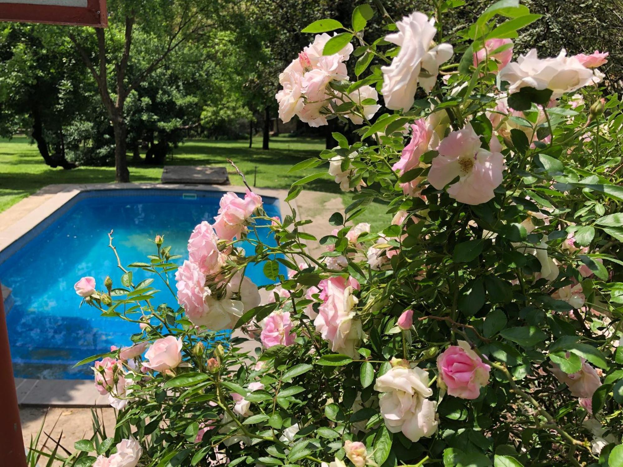 Hills And Dales Accommodation Lanseria Bagian luar foto